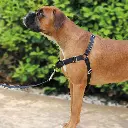 pulling_03.webp
