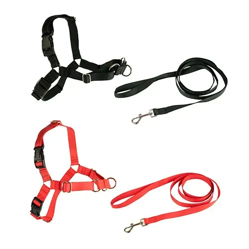 Arnes y Correa Stop-Pulling