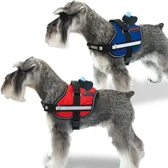 Arnes Ibañez Active Rojo