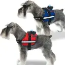 Arnes Ibañez Active Rojo